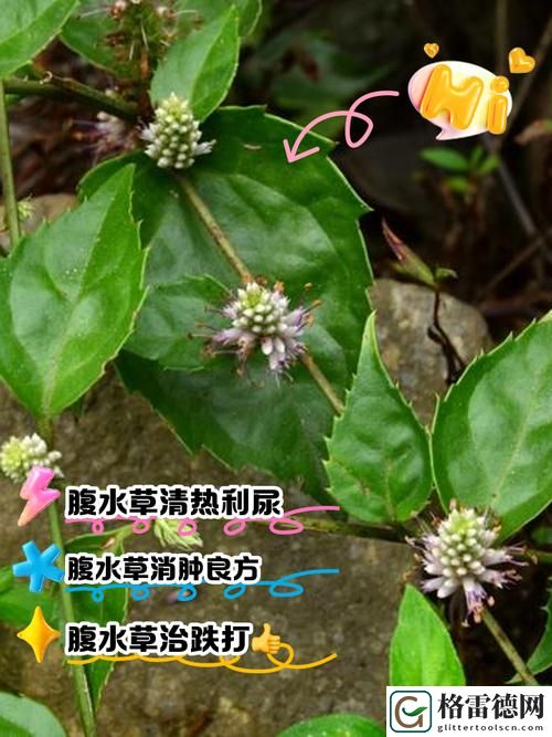 探索被c出水
