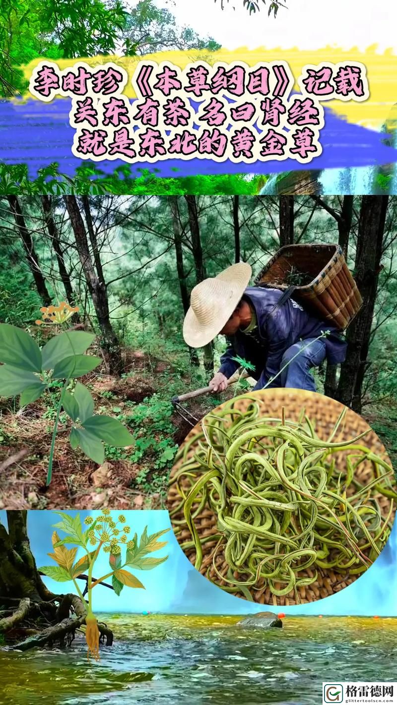  在晨曦中重生——“啊⋯日出水了⋯用力乖乖-”的解读
