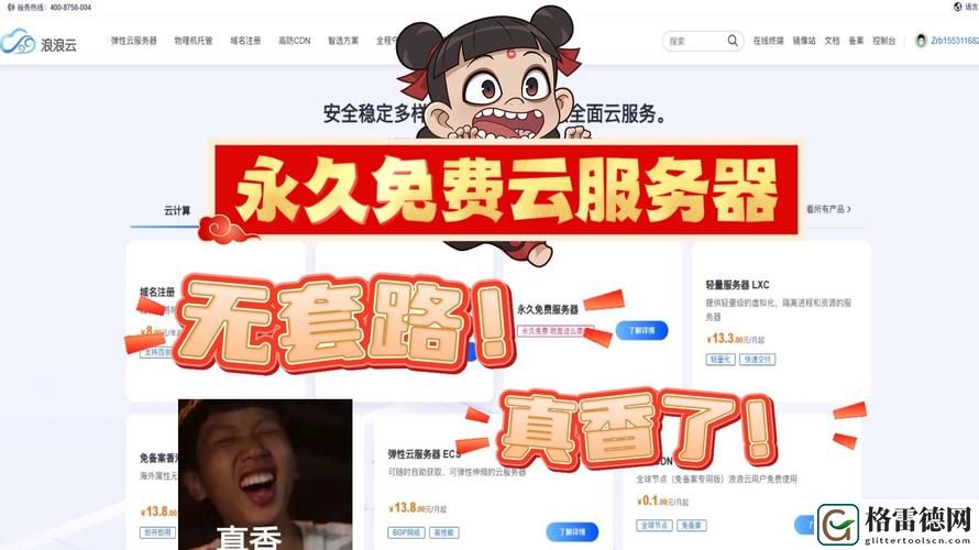  真正永久免费VPS，用户：享受无忧的虚拟主机体验