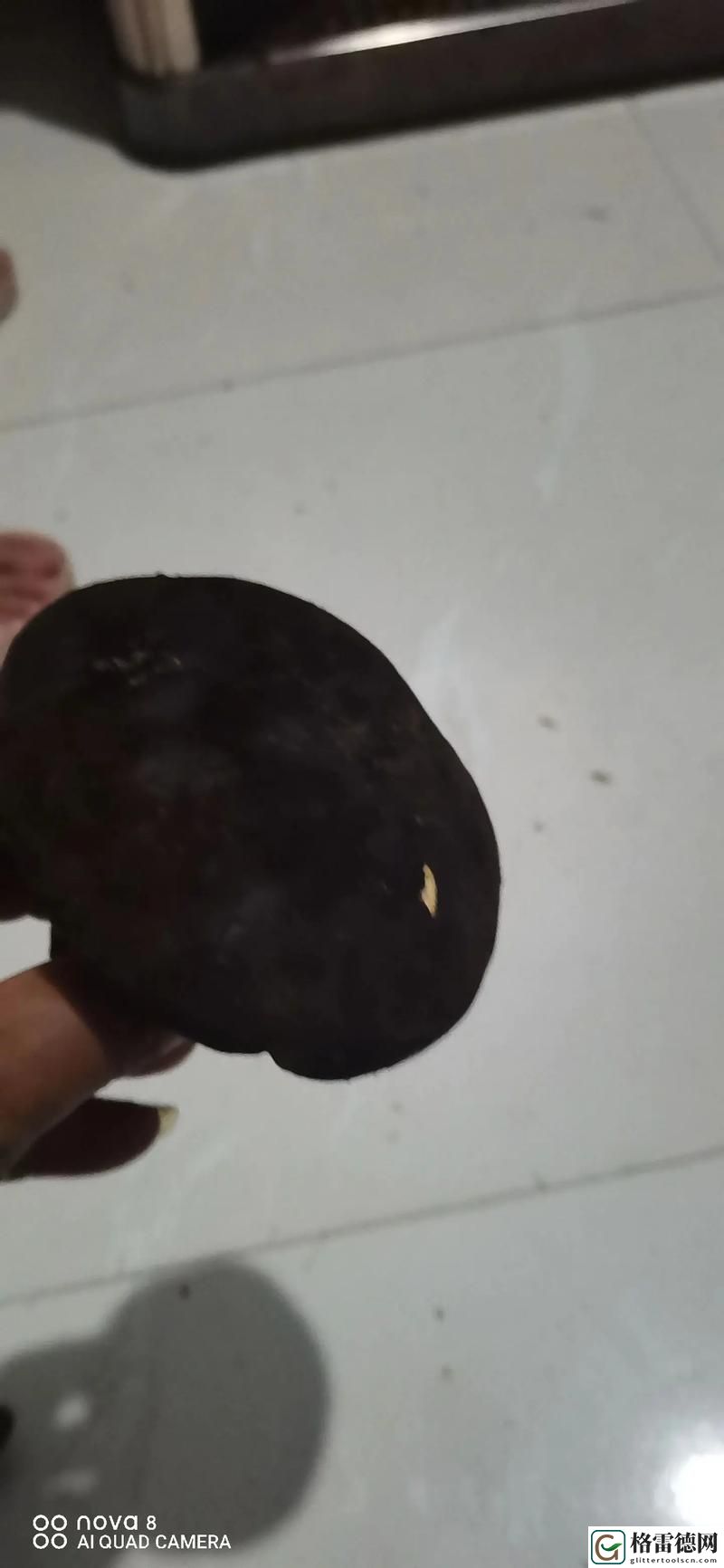  探寻自然的奥秘：黑黑的粗粗的长长的是什么