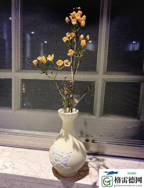 金花瓶楷梅花2观看，观众：领略艺术与文化的交融之美
