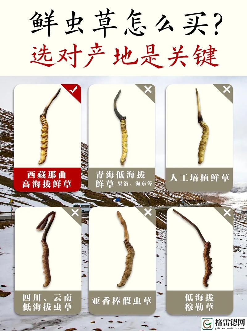  探索嫩草精产一二三产区的独特魅力