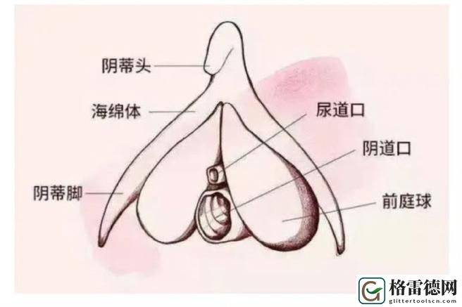 探寻神秘文化中的大荫蒂BBBBBB大荫蒂