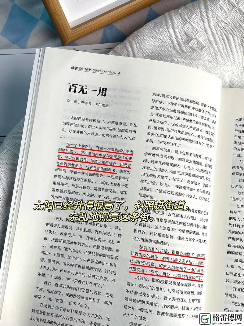 《探索精品视频一区二区读者的魅力与功能》