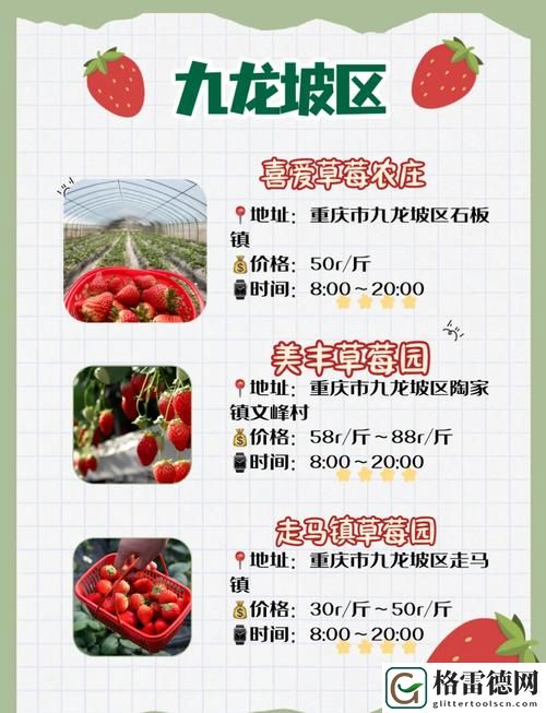  如何安全地访问草莓旧址www在线：保护个人信息的重要措施