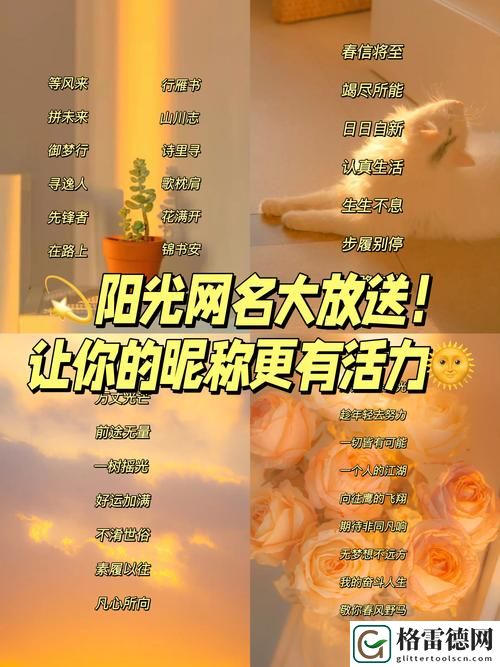  如何打造个性化的茄子tv最新地域网名怎么取