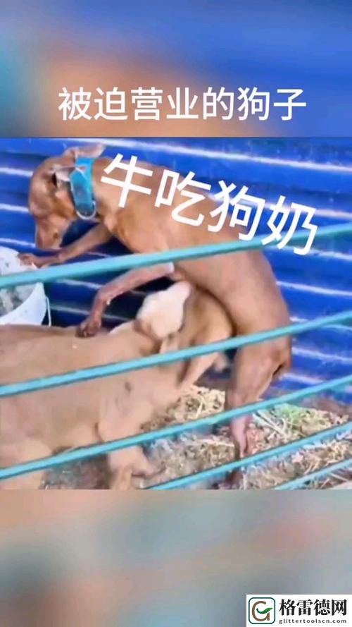  当生活遇到“公天天吃我奶躁我”的奇妙体验
