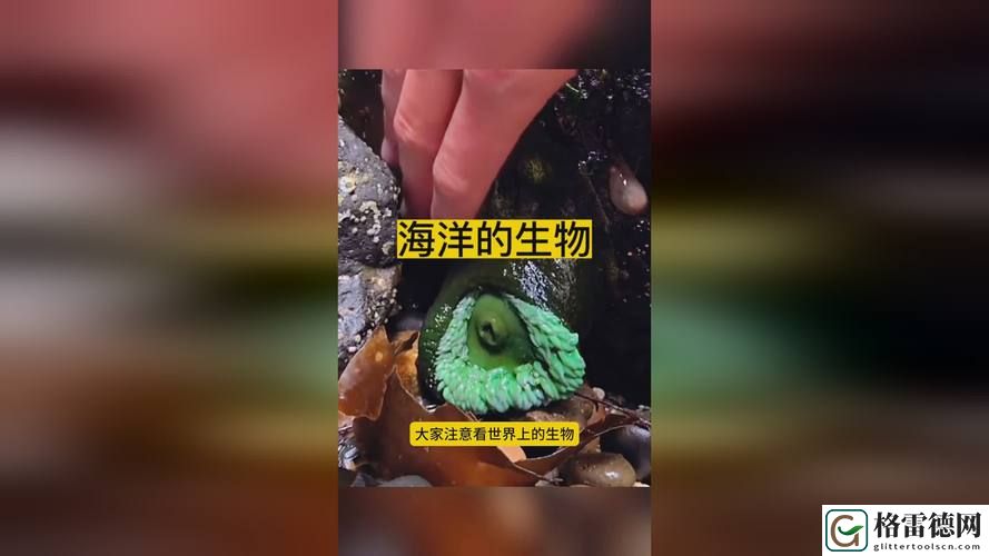 x7x7x7任意噪，观众：听见心跳的共鸣