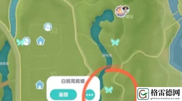 心动小镇白斑尾梳蜂刷新位置解析