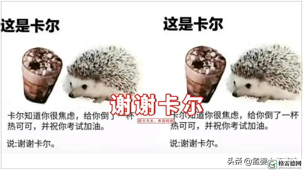 光遇游戏卡尔刺猬是什么梗