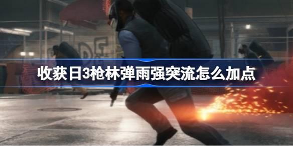 收获日3枪林弹雨强突流如何加点-枪林弹雨强突流加点 稀有坐骑捕捉地点