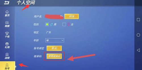 逃跑吧少年使用继承码方法一览