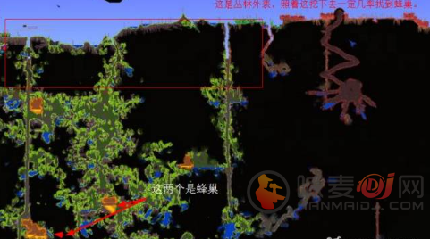 泰拉瑞亚蜂王召唤物怎么合成 泰拉瑞亚蜂王位置及召唤方法掉落物攻略汇总
