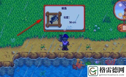 星露谷物语鲶鱼在哪里钓 星露谷物语鲶鱼钓鱼地点分享