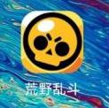荒野乱斗看幸运值的操作流程一览