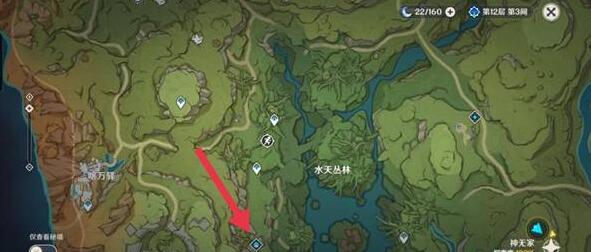 原神水天丛林宝箱在哪 原神水天丛林宝箱位置汇总攻略