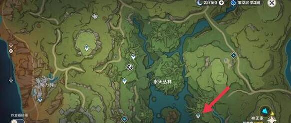 原神水天丛林宝箱在哪 原神水天丛林宝箱位置汇总攻略
