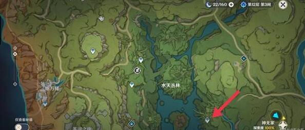 原神水天丛林宝箱在哪 原神水天丛林宝箱位置汇总攻略