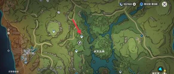 原神水天丛林宝箱在哪 原神水天丛林宝箱位置汇总攻略