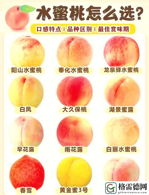  探索蜜桃精产品二三三区的魅力与价值