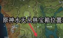原神水天丛林宝箱在哪 原神水天丛林宝箱位置汇总攻略