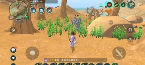 创造与魔法爆炒鱿鱼怎么弄 创造与魔法爆炒鱿鱼做法攻略