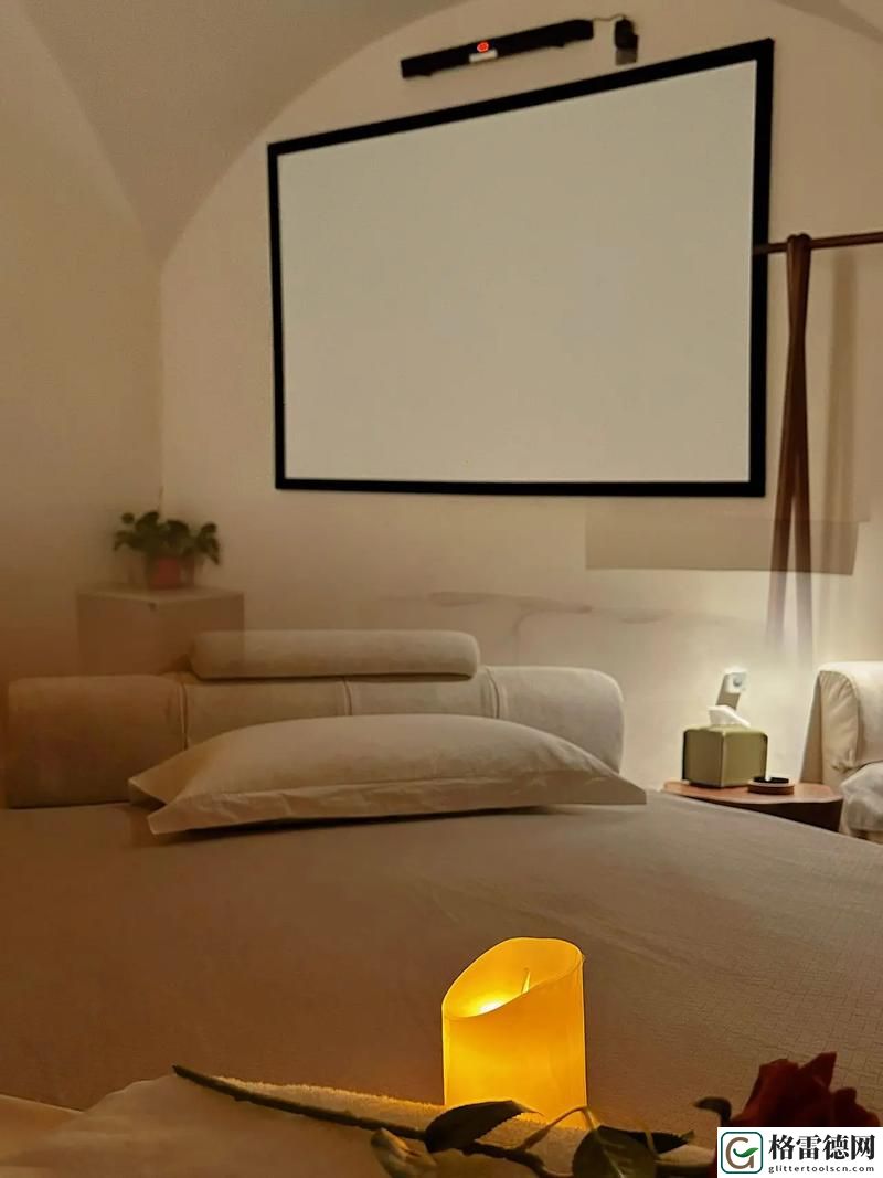 三亚私人高清影院品牌加盟视频，网友：这个项目真的值得投资吗？