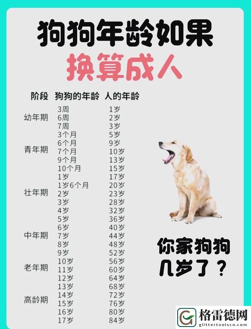深入探索日本mindup狗与人类狗的区别