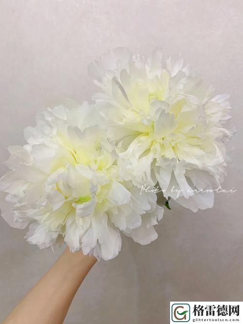 双阳插花芯，网友直言：这才是生活的艺术！