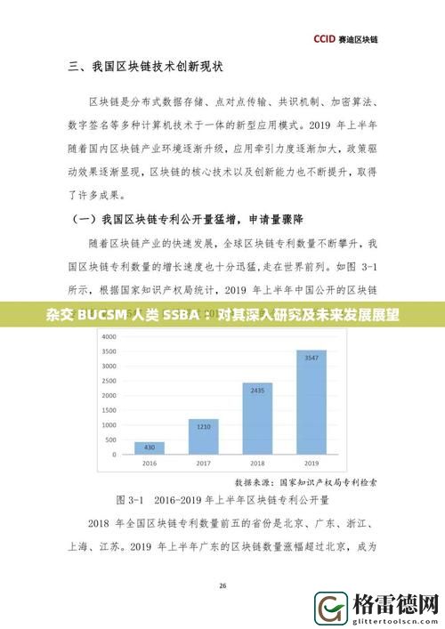 新视角探索：杂交BUCSM人类SSBA的未来发展