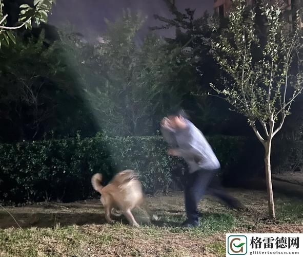 人狗大战9免费观看正版