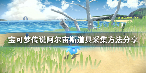 宝可梦传说阿尔宙斯道具怎么采集 宝可梦传说道具采集方法分享