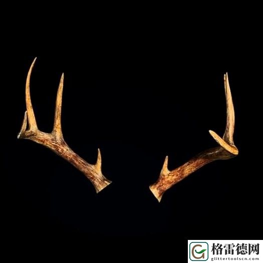生化危机4重制版通过有什么奖励