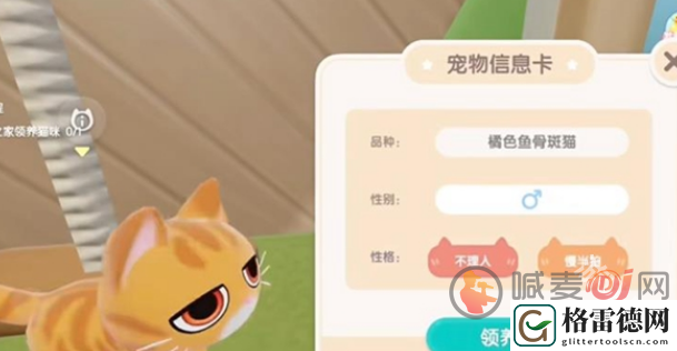 心动小镇怎么养猫 心动小镇养猫攻略
