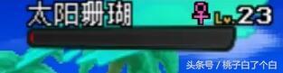 宝可梦太阳·月亮好坏星如何召唤